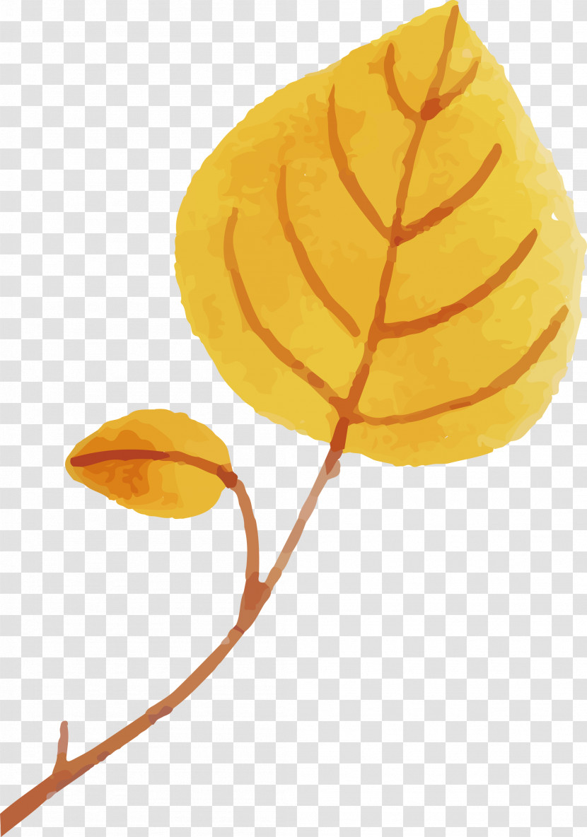 Leaf Plant Structure Biology Science Plants Transparent PNG