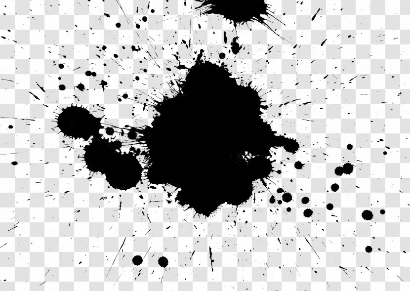 Black And White Paint Monochrome - Splash Transparent PNG