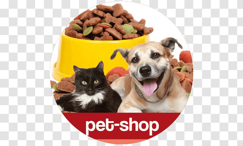 grooming pet shop