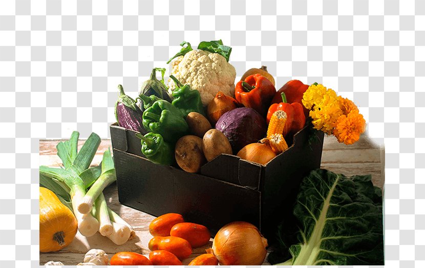 Vegetable Vegetarian Cuisine Somnatur - Basket - Alimentación Ecológica Fruit FoodVegetable Transparent PNG