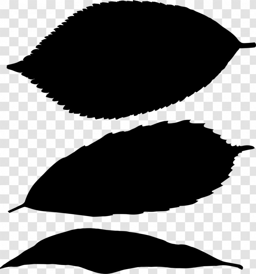 Black & White - Leaf - M Clip Art Silhouette Line Transparent PNG