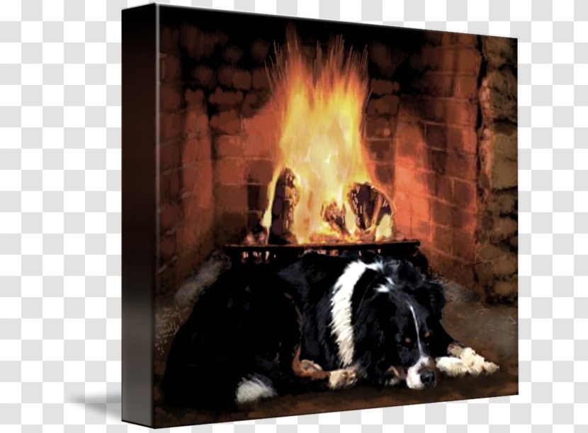 Dog Breed Hearth GroupM - Fireplace - Sleeping Transparent PNG