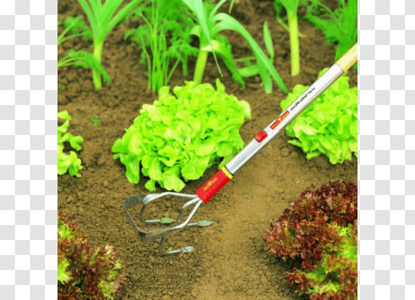 Weeder Gardening Tool Handle - Cultivation Culture Transparent PNG