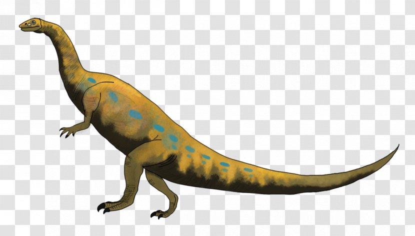 Yunnanosaurus Unaysaurus Tyrannosaurus Sinosaurus Lower Lufeng Series - Brachiosaurus Transparent PNG