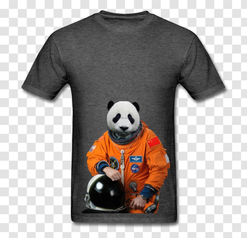 T-shirt Sleeve Outerwear Brand - T Shirt Transparent PNG