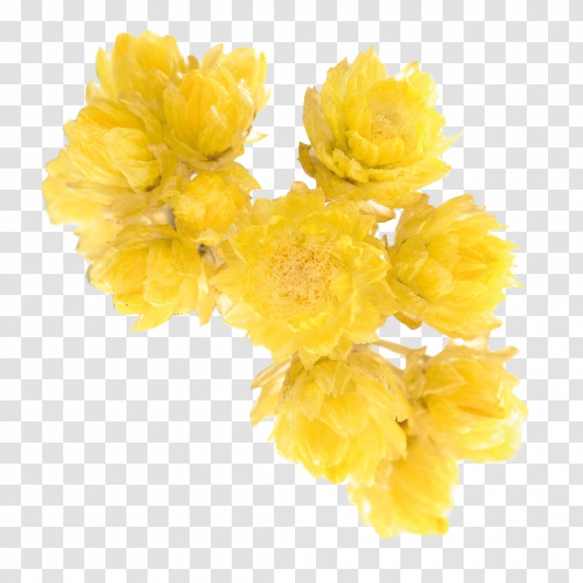 Cut Flowers Mimosa Petal - Flower - Qualité Transparent PNG