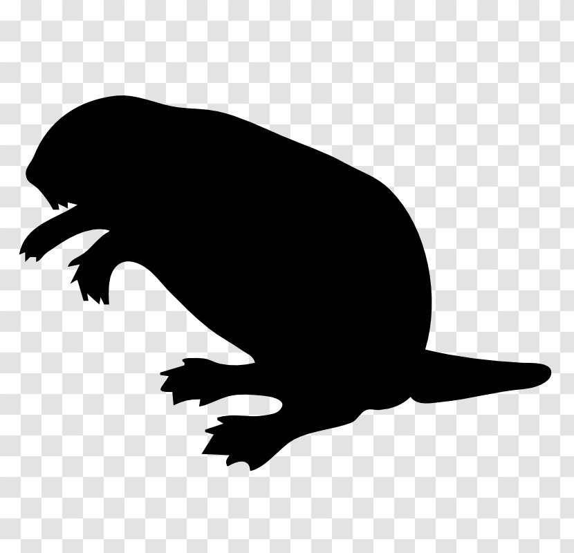 Beaver Clip Art - Royaltyfree Transparent PNG