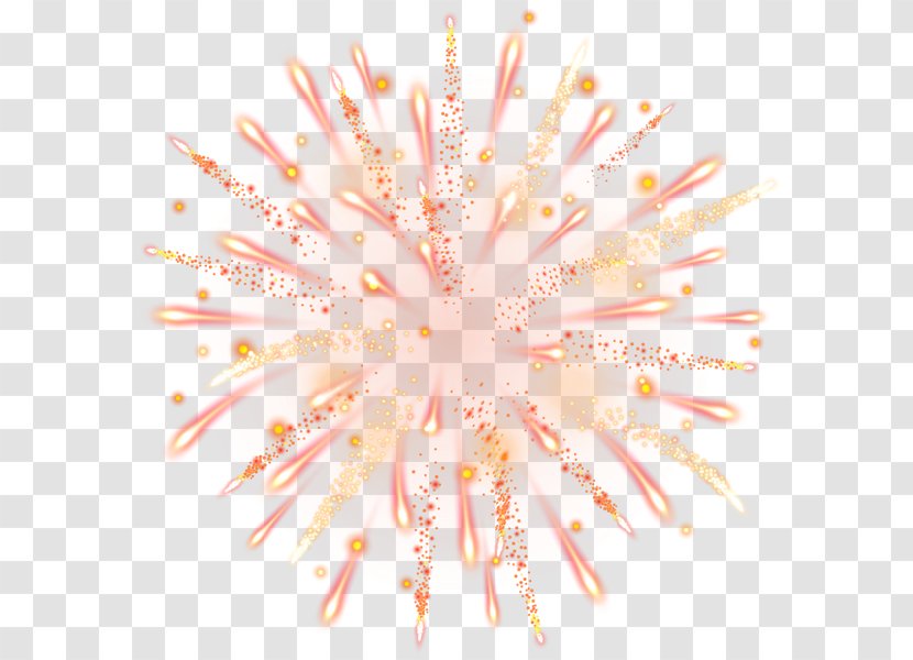 Fireworks Clip Art - Organism Transparent PNG