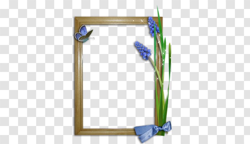 Picture Frames Photography Text Drawing Image - Frame Transparent PNG