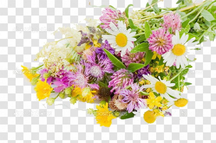 Flower Bouquet Stock Photography Gift - Floristry Transparent PNG