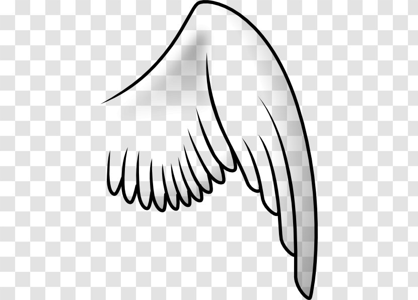 Buffalo Wing Clip Art - Monochrome Photography - Wings Cliparts Transparent PNG
