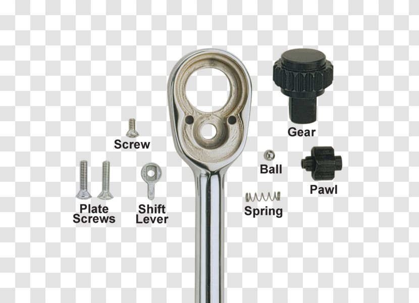 Ratchet Tool Socket Wrench Spare Part Torque - Screw Transparent PNG