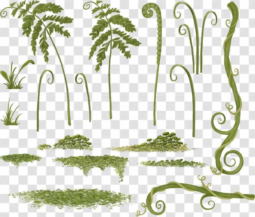 Grass Floral Design Plant Stem Clip Art - Herb Transparent PNG