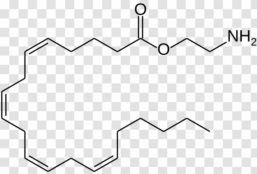 Fatty Acid Monoglyceride Amino Arachidonic - Text - Eicosanoid Transparent PNG