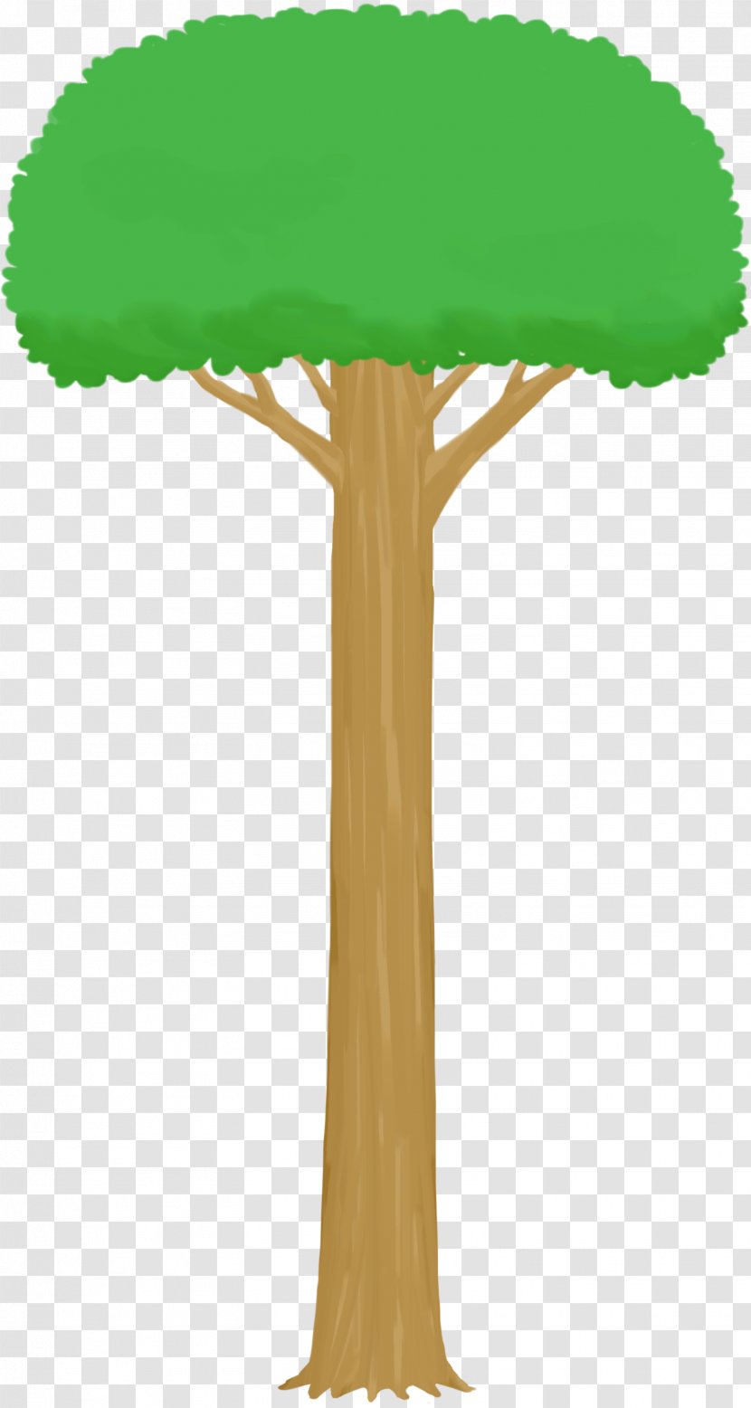 Tree Drawing Sketchbook Stylus Samsung Galaxy Note 3 - Birch Transparent PNG