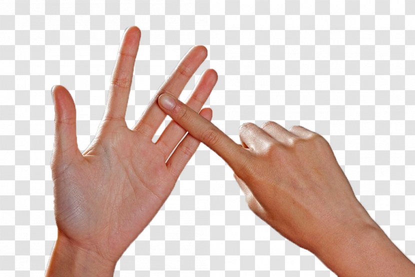 Thumb Finger Hand - Arm - Slender Fingers Transparent PNG