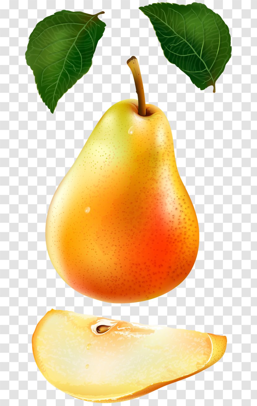 Asian Pear Euclidean Vector Auglis - Photography - Pears Transparent PNG