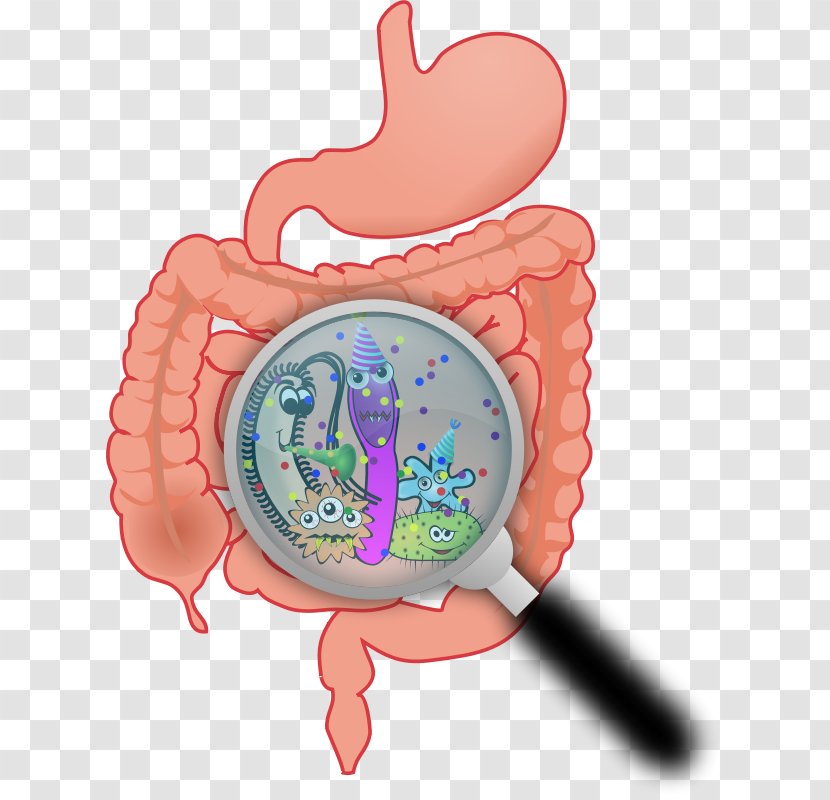 Dietary Supplement Gastrointestinal Tract Digestion Human Body Digestive System - Watercolor - Germs Picture Transparent PNG
