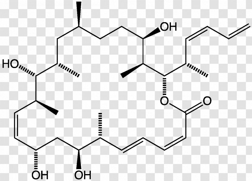 Sulfonyl Halide Chemistry Chloride Chemical Compound - Monochrome - Anticancer Transparent PNG