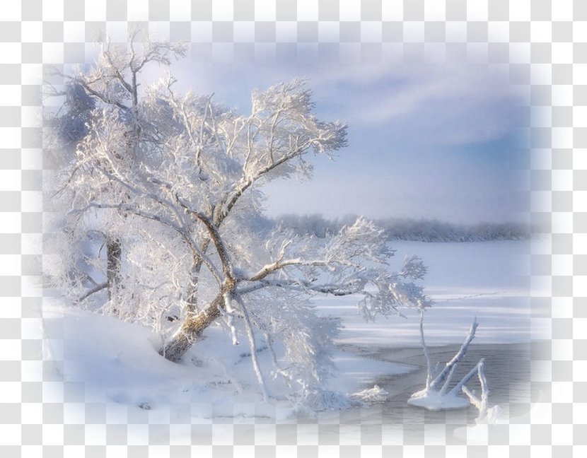 Daxue Xiaoxue Winter Solar Term 七十二候 - Freezing - Landscape Transparent PNG