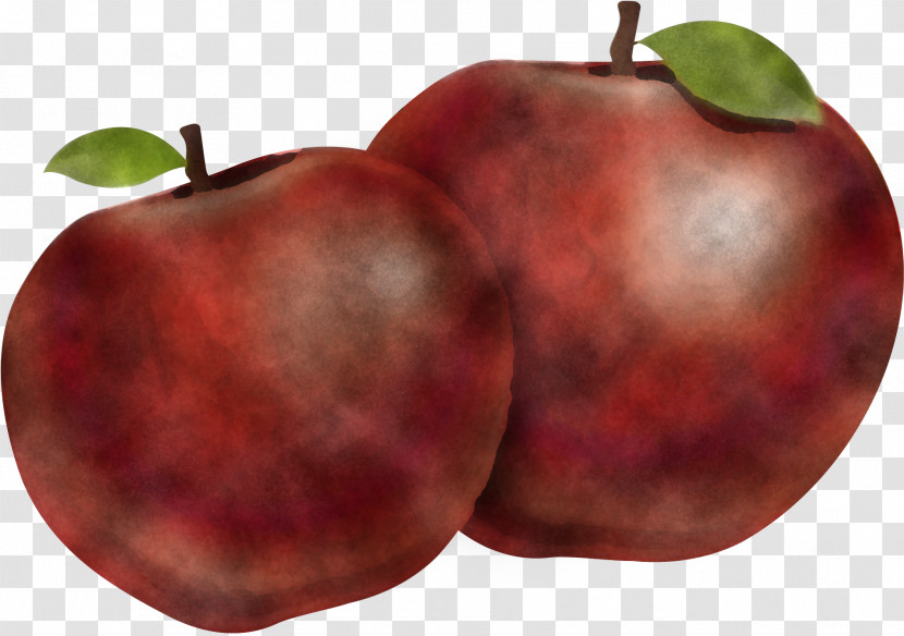 Fruit European Plum Food Apple Natural Foods Transparent PNG