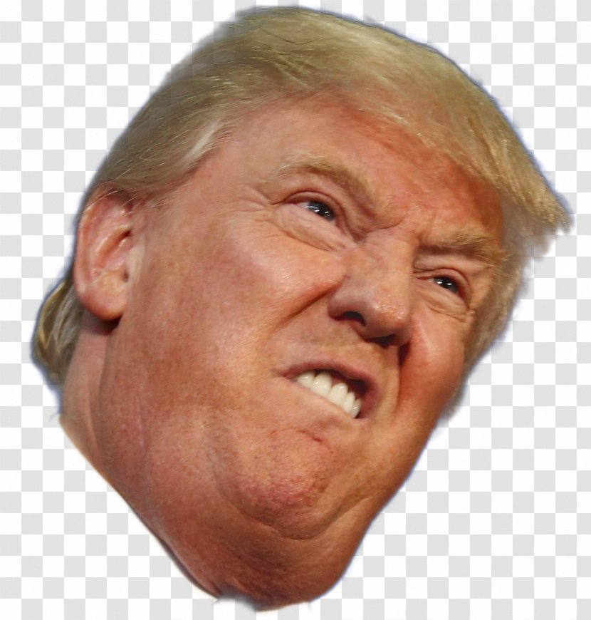 Donald Trump Funny Face United States Of America Clip Art Dick Avery Transparent PNG