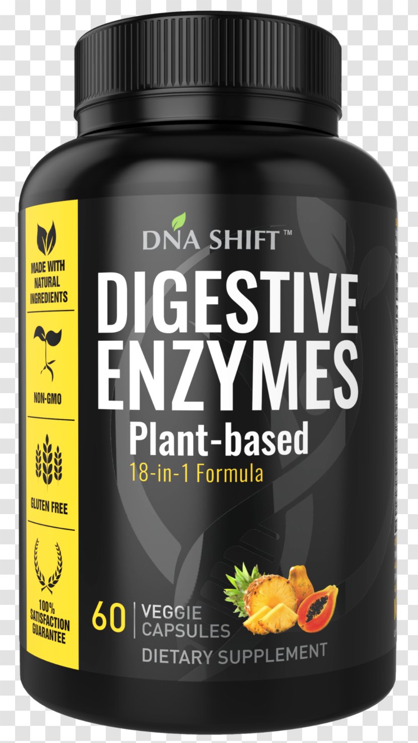 Dietary Supplement Digestive Enzyme Digestion Bromelain - Lactase - Gut Brain Axis Transparent PNG