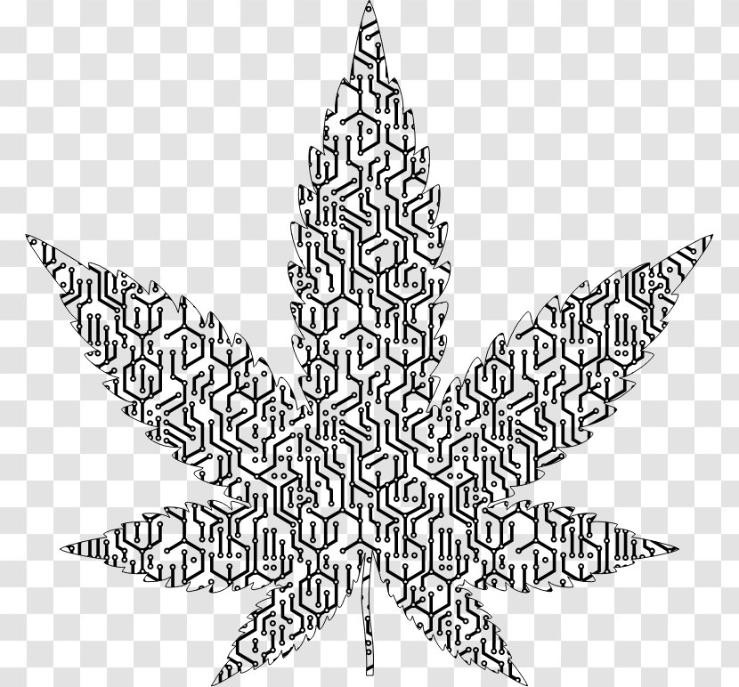 Medical Cannabis Sativa Clip Art - Area Transparent PNG