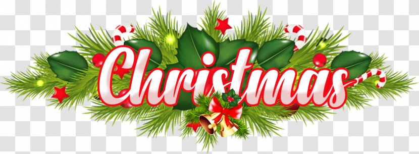 Christmas Decoration - Event - Fir Transparent PNG