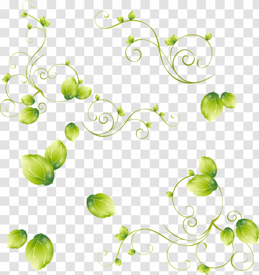 Leaf Green Clip Art - Plant Stem - Leaves Transparent PNG