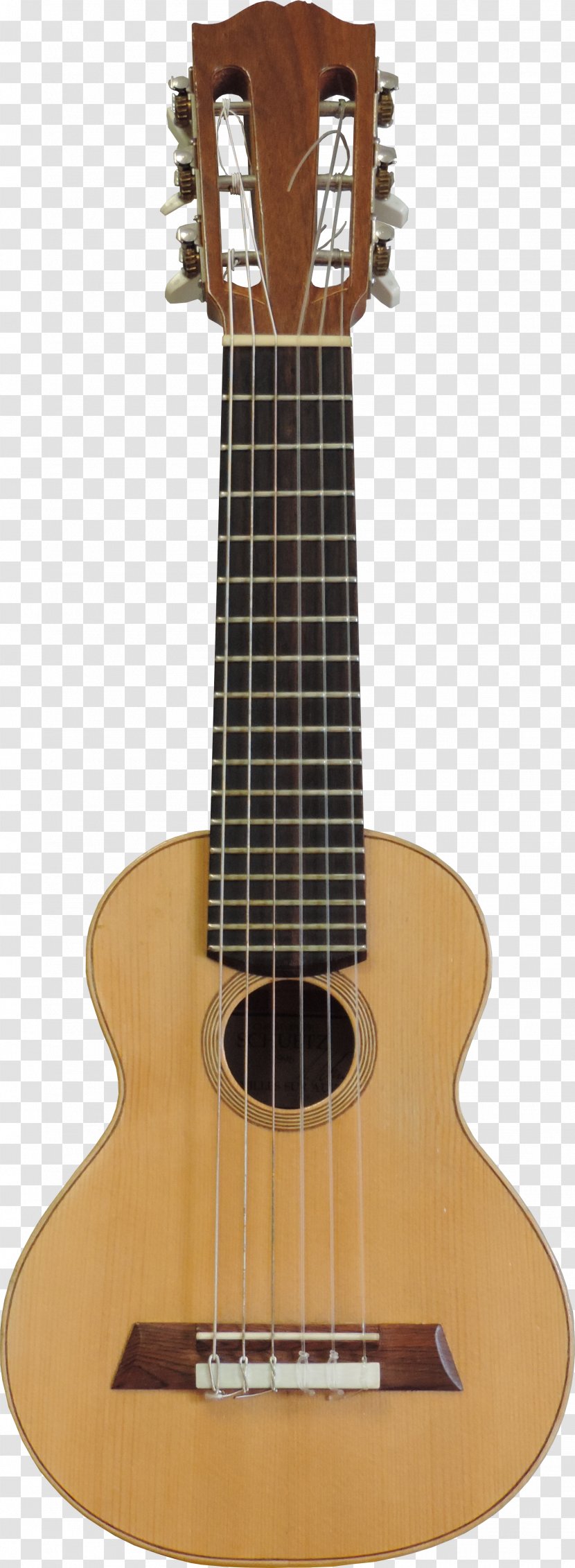 Acoustic Guitar Parlor Classical Dreadnought - Tree Transparent PNG