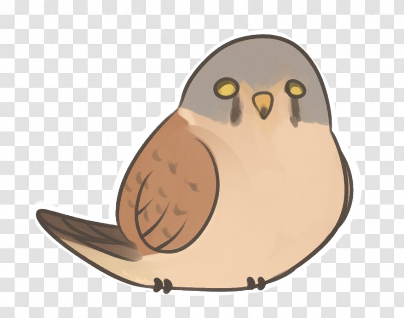 Owl Beak Cartoon - Bird - Falcon Mascot Cute Transparent PNG