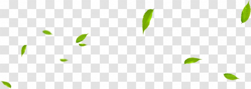 Brand Logo Pattern - Computer - Leaves Transparent PNG