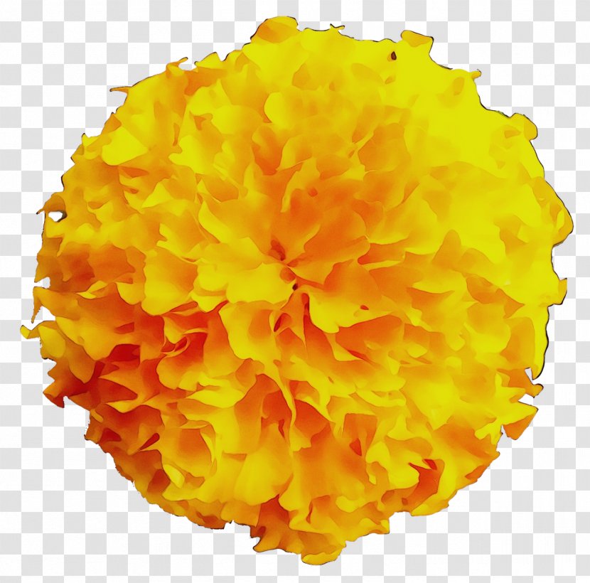 Yellow Cut Flowers - Orange Transparent PNG
