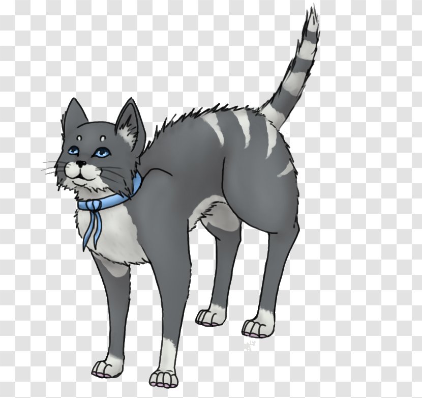 Whiskers Kitten Dog Cat - Vertebrate Transparent PNG