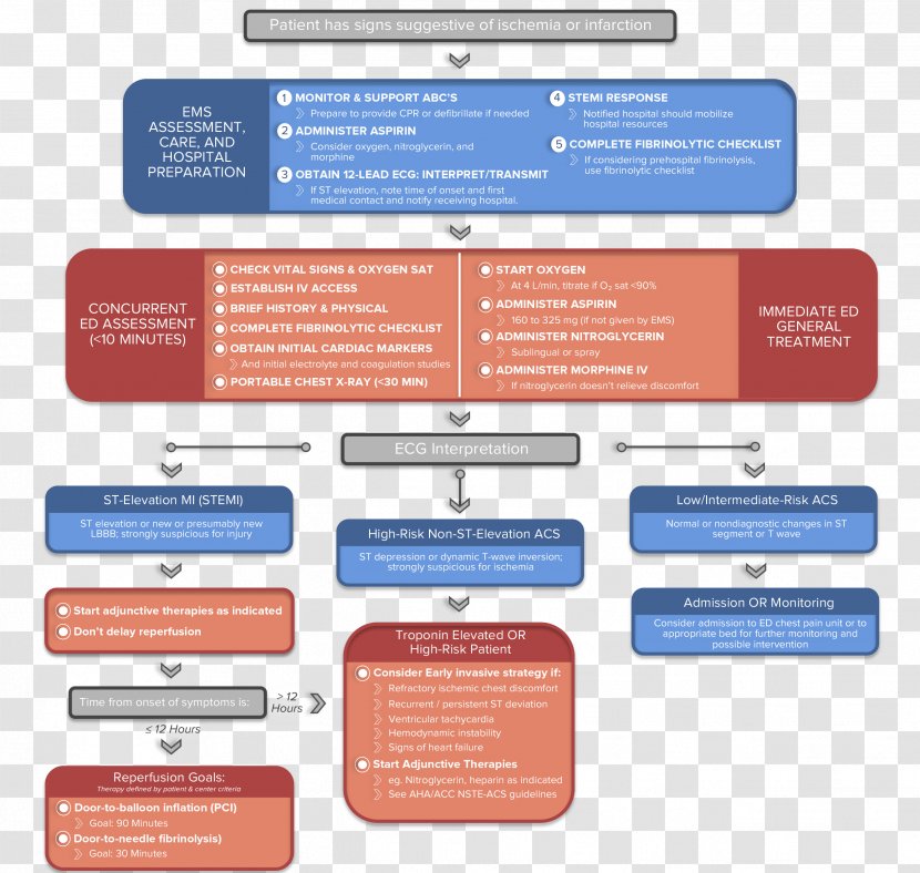 Advanced Cardiac Life Support Acute Coronary Syndrome Cardiology Arrest - Learning - Algorithm Transparent PNG