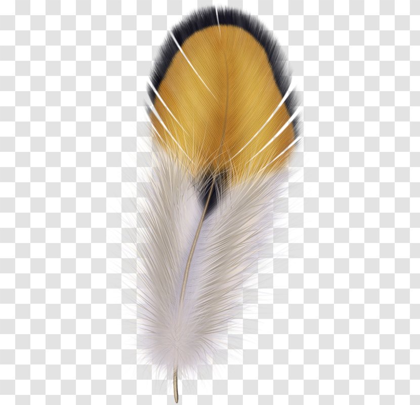 Feather Clip Art - Close Up - Plumas Transparent PNG