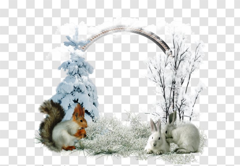 Eisbxe4renanlage Yorkshire Wildlife Park December Christmas - Berlin - White Rabbit Transparent PNG