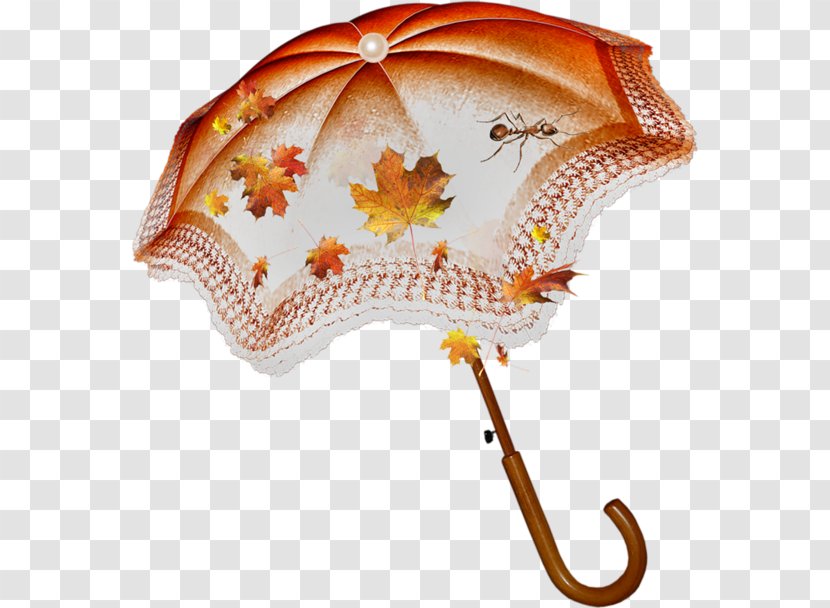 Umbrella Autumn Clip Art Transparent PNG