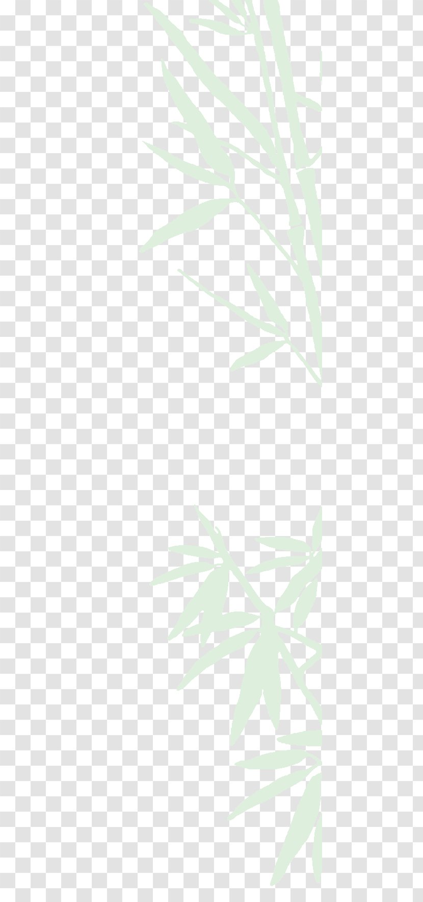 Green Desktop Wallpaper Line Angle Pattern - Tree - Bamboo Salon Transparent PNG