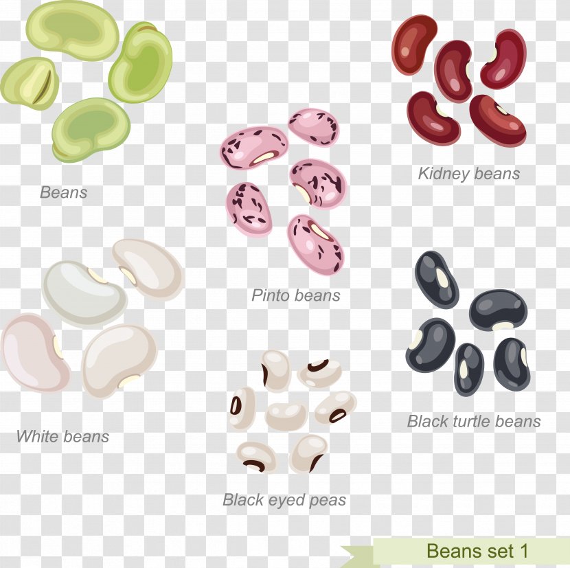 Cowboy Beans Pinto Bean Refried - Stock Photography Transparent PNG