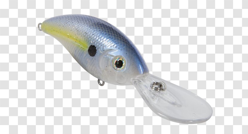 Fishing Baits & Lures - Bait - Northern Pike Transparent PNG