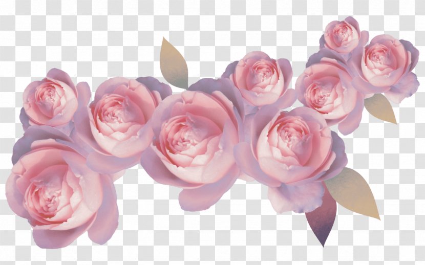 Flower Wreath Rose Clip Art - Flowering Plant Transparent PNG