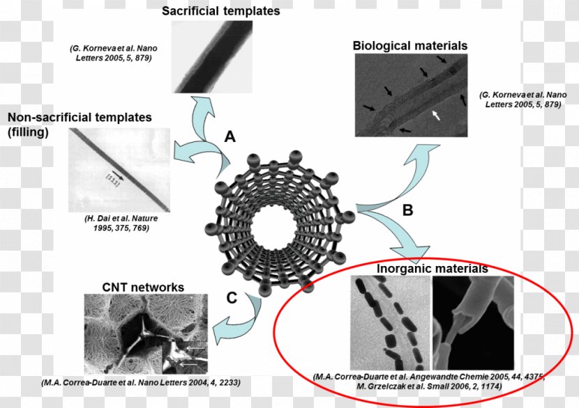 Carbon Nanotube Nanocső Nanotechnology Nanomaterials - Technology Transparent PNG