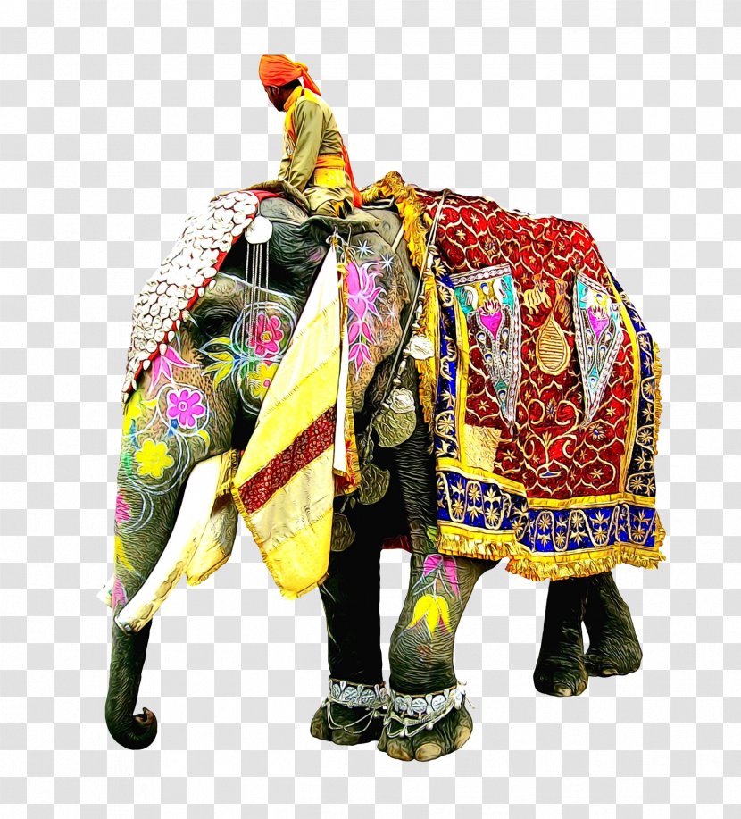 New Year Cartoon - Elephant - African Outerwear Transparent PNG