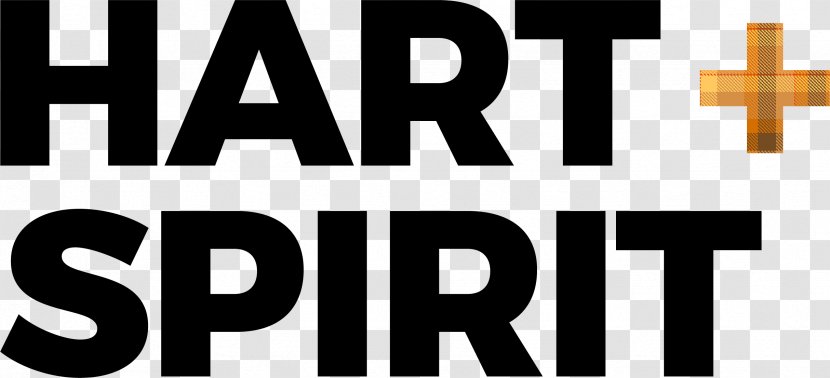 Logo Brand Spirit Airlines Font - DRAW DRINK Transparent PNG