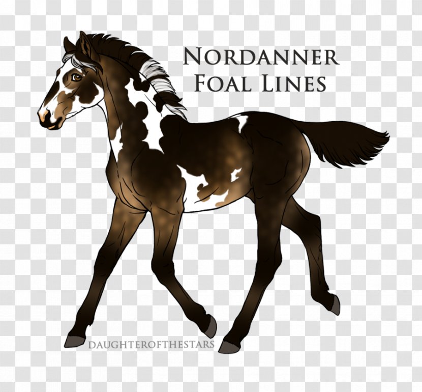 Stallion Foal Mustang Mare Colt - Horse Transparent PNG