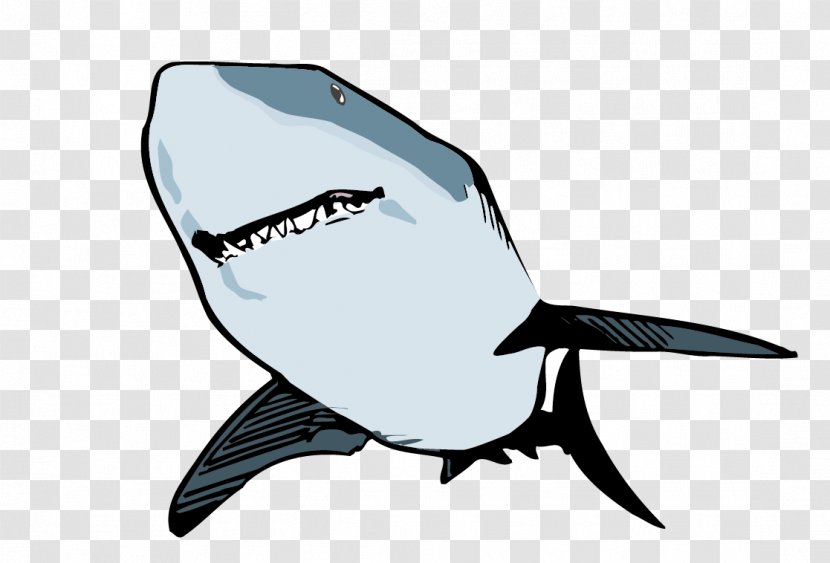 Shark Animation Clip Art - Cartilaginous Fish - Vector Great Whales Material Transparent PNG