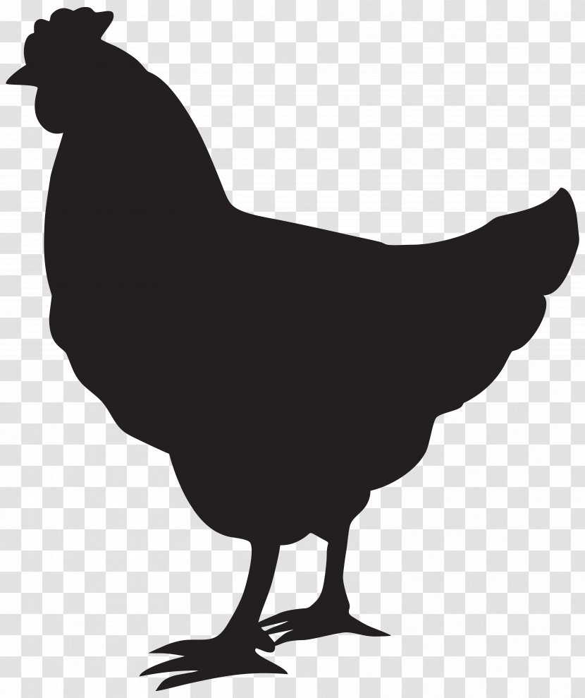 Chicken Silhouette Rooster Clip Art - Monochrome - Hen Image Transparent PNG
