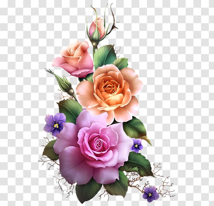 Flower Desktop Wallpaper Rose Clip Art - Family Transparent PNG